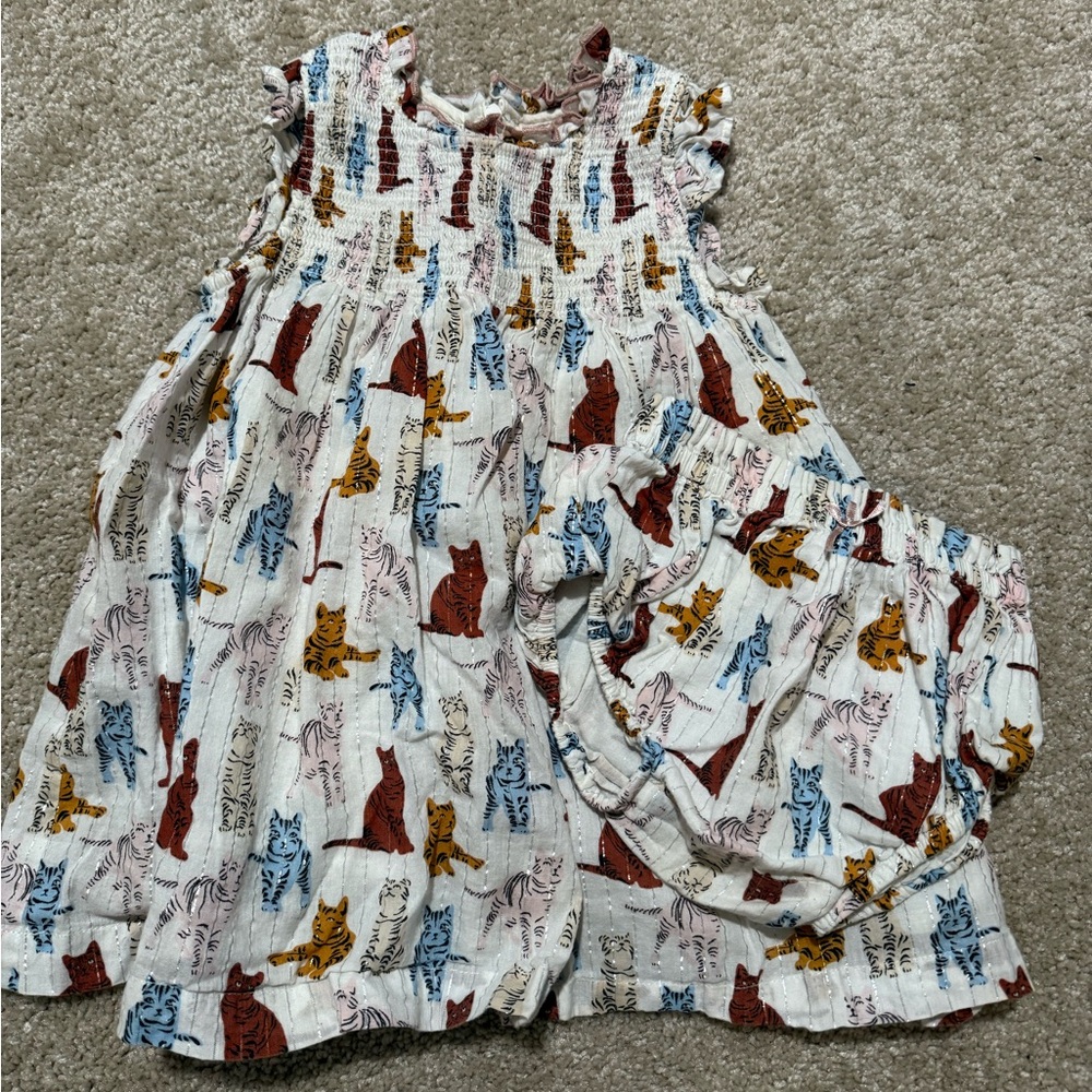 Pink Chicken playful cats dress